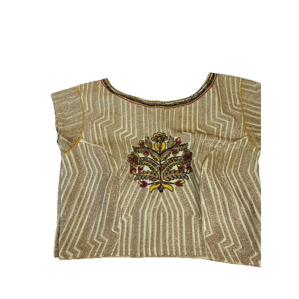 Indian Pakistani Choli Blouse